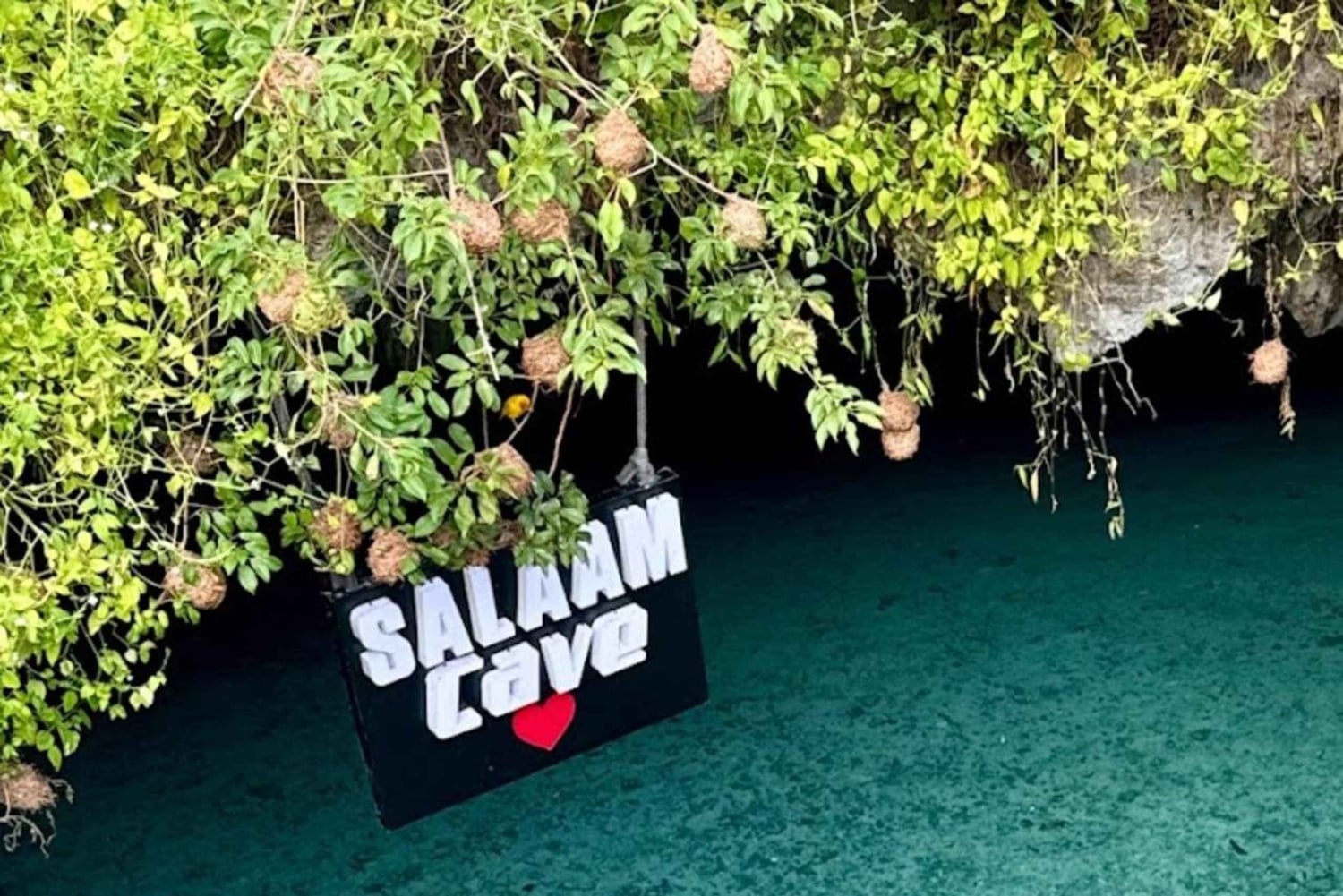 Zanzibar: Salaam Cave Sea Turtles & Stone town Tour