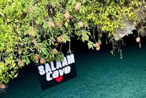 Zanzibar: Salaam Cave Sea Turtles & Stone town Tour