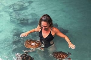 ZANZIBAR: Salaam-grotten, Stone Town og nattmatmarked