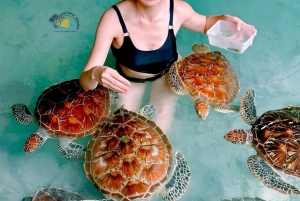 ザンジバル：カメと泳ぐサラーム洞窟＆スパイス農園ツアーをお楽しみください