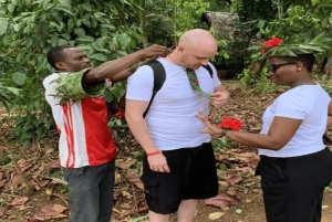 ザンジバル：カメと泳ぐサラーム洞窟＆スパイス農園ツアーをお楽しみください