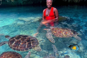 ザンジバル：カメと泳ぐサラーム洞窟＆スパイス農園ツアーをお楽しみください