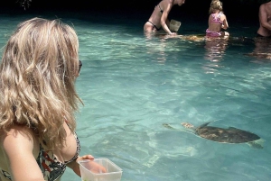 ZANZIBAR: Salaam Cave Zwemmen met zeeschildpadden bij Kizimkazi