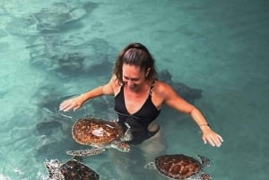 ZANZIBAR: Salaam Cave Zwemmen met zeeschildpadden bij Kizimkazi