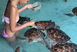 ZANZIBAR: Salaam Cave Zwemmen met zeeschildpadden bij Kizimkazi