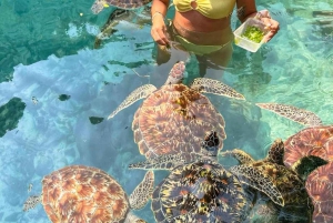 ZANZIBAR: Salaam Cave Zwemmen met zeeschildpadden bij Kizimkazi