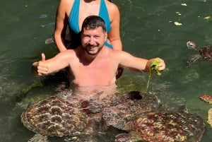 ZANZIBAR: Salaam Cave Zwemmen met zeeschildpadden bij Kizimkazi