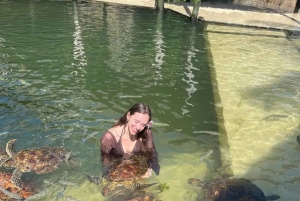 ZANZIBAR: Salaam Cave Zwemmen met zeeschildpadden bij Kizimkazi