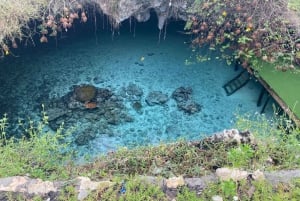 Zanzibar: Wycieczka „Pływanie z żółwiami w jaskini Salaam”