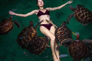 Sansibar: Salaamin luola ja uimaa kilpikonnien kanssa