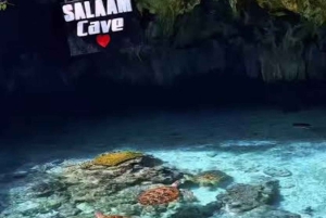 Sansibar: Salaamin luola ja uimaa kilpikonnien kanssa