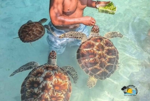 Zanzibar : Tortues de la grotte de Salaam et déjeuner au restaurant The Rock