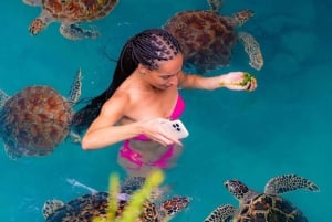 Sansibar: Salam-Höhlen-Tour, Schwimmen mit Schildkröten