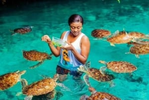 Sansibar: Salam-Höhlen-Tour, Schwimmen mit Schildkröten