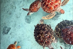 Zanzibar: Salam Cave Tour, swimming with turtles