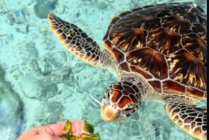 Zanzibar: Salam Cave Tour, swimming with turtles