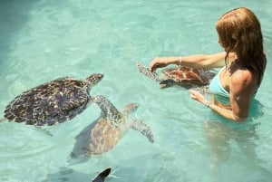 ЗАНЗИБАР: пещера Саллам и прозрачный каяк с трансфером