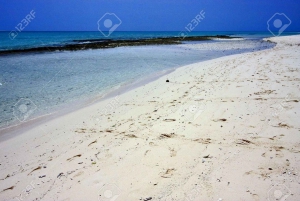 Zanzibar : visite d'une jounée du banc de sable (Nakupenda) avec déjeuner