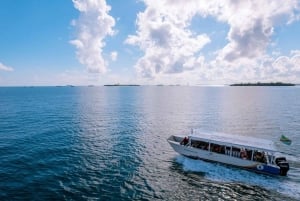 Sansibar: Küstenfahrt & Schnorcheln in Stone Town