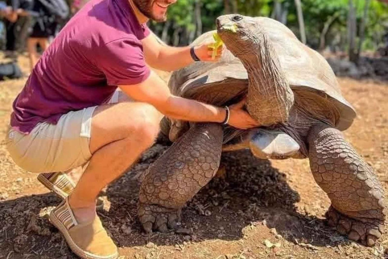 Занзибар: морские черепахи на острове Салаам и черепахи на острове Призон