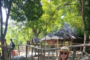 Занзибар: морские черепахи на острове Салаам и черепахи на острове Призон