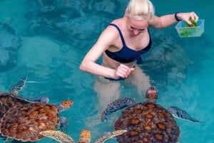 Занзибар: морские черепахи на острове Салаам и черепахи на острове Призон