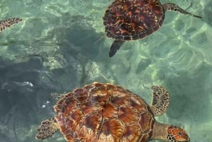 Занзибар: морские черепахи на острове Салаам и черепахи на острове Призон