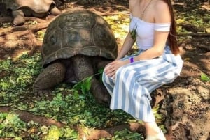 Занзибар: морские черепахи на острове Салаам и черепахи на острове Призон