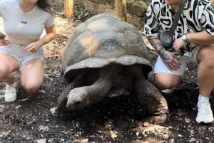 Занзибар: морские черепахи на острове Салаам и черепахи на острове Призон