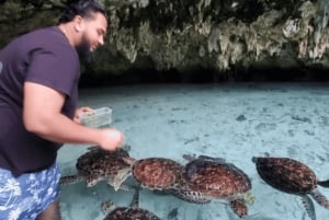 Zanzibar: mergulhe com tartarugas marinhas na gruta da lagoa na vila de Nungwi