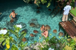 Zanzibar: Simma med havssköldpaddor i Salam Cave i byn Kizimkazi