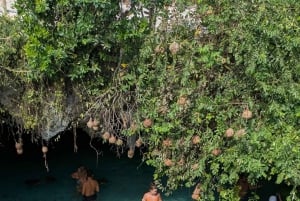 Zanzibar: Simma med havssköldpaddor i Salam Cave i byn Kizimkazi
