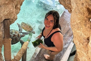 Zanzibar: Svøm med havskilpadder i Salam-grotten i Kizimkazi-landsbyen