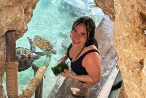 Zanzibar: Svøm med havskildpadder i Salam Cave i Kizimkazi Village