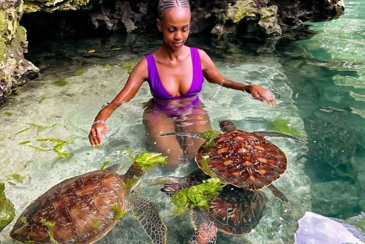 ZANZIBAR: Uimaan ja ruokkimaan merikilpikonnien kanssa NUNGWISSA