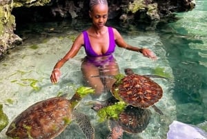 ZANZIBAR: Uimaan ja ruokkimaan merikilpikonnien kanssa NUNGWISSA