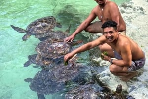 ZANZIBAR: Uimaan ja ruokkimaan merikilpikonnien kanssa NUNGWISSA