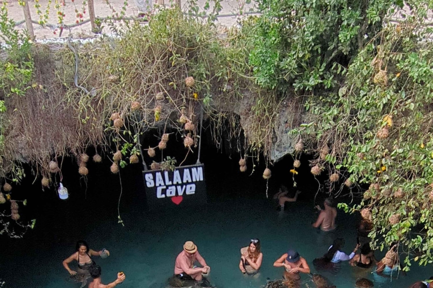 Zanzibar: Merikilpikonnia uimassa ja ruokkimassa Salaamin luolassa. Hieno muisto