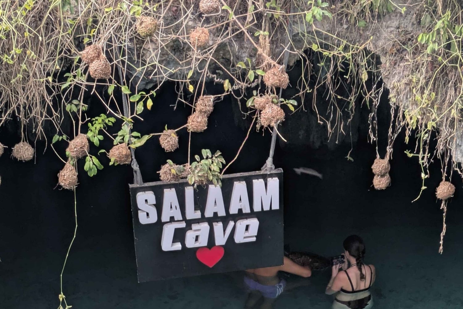 Zanzibar: Merikilpikonnia uimassa ja ruokkimassa Salaamin luolassa. Hieno muisto