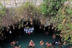 Zanzibar: Merikilpikonnia uimassa ja ruokkimassa Salaamin luolassa. Hieno muisto