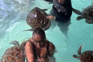 Zanzibar: Merikilpikonnia uimassa ja ruokkimassa Salaamin luolassa. Hieno muisto