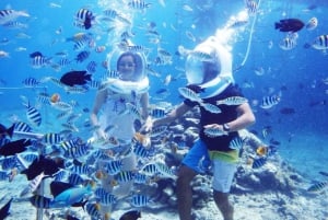 ザンジバル：シーウォーク・アドベンチャーと海亀サンクチュアリツアー