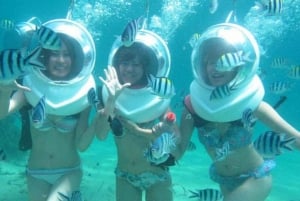 ザンジバル：シーウォーク・アドベンチャーと海亀サンクチュアリツアー