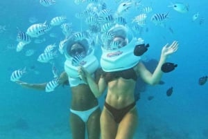 ザンジバル：シーウォーク・アドベンチャーと海亀サンクチュアリツアー