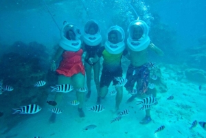 ザンジバル：シーウォークアドベンチャー＆ウミガメ保護区ツアーをご案内いたします