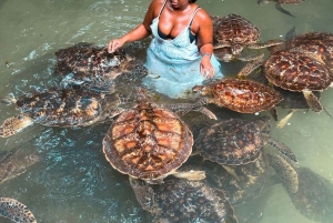 ザンジバル：シーウォークアドベンチャー＆ウミガメ保護区ツアーをご案内いたします