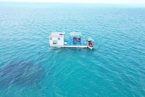 ザンジバル：シーウォークアドベンチャー＆ウミガメ保護区ツアーをご案内いたします