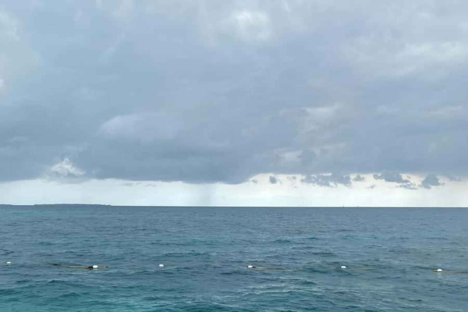 Zanzibar: Havvandring og hesteridning.