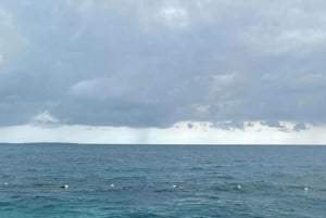 Zanzibar: Havvandring og hesteridning.