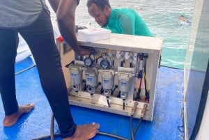 Zanzibar: Havvandring og hesteridning.